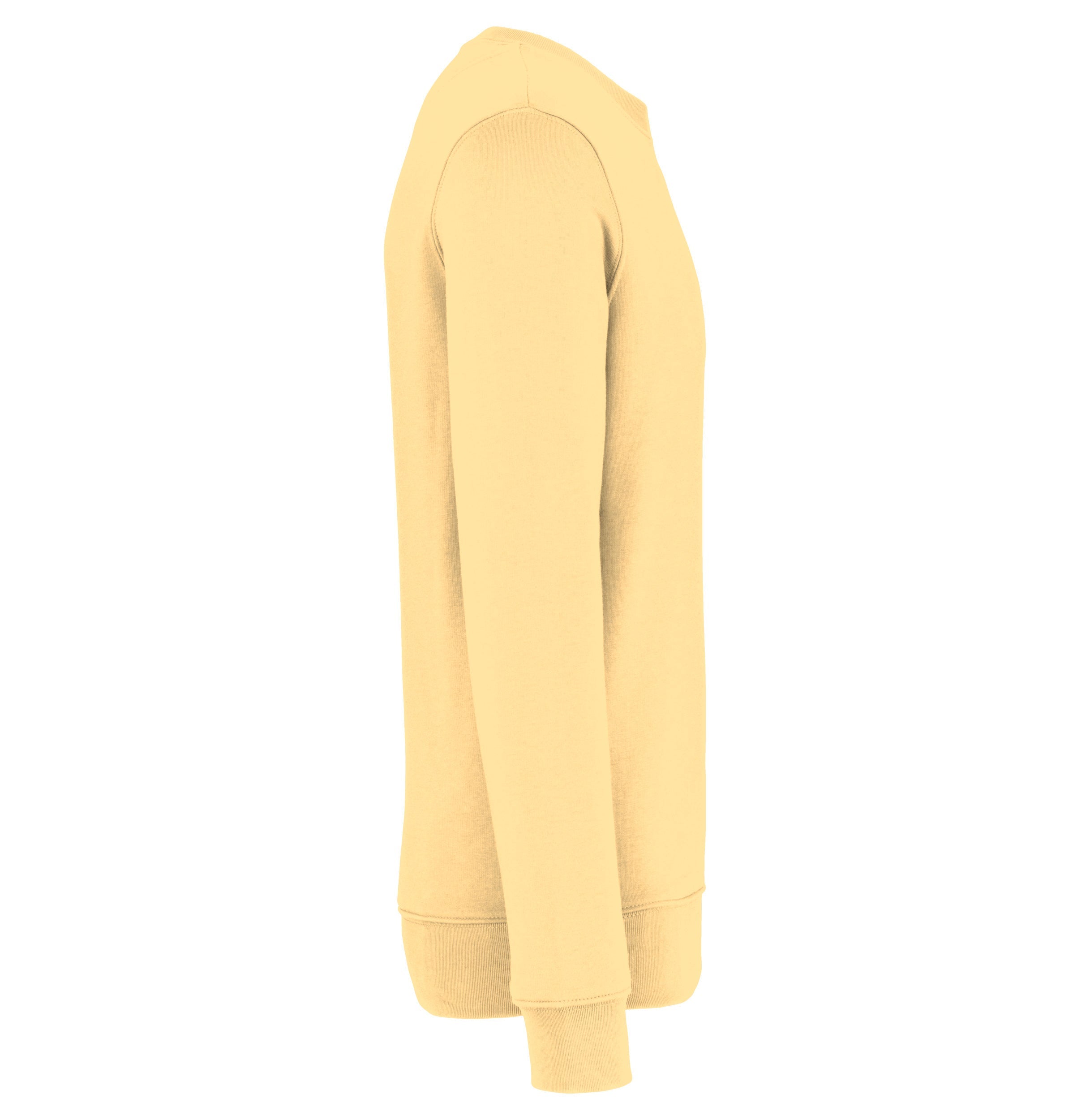 Unisex Sweatshirt - 350gsm - NS400