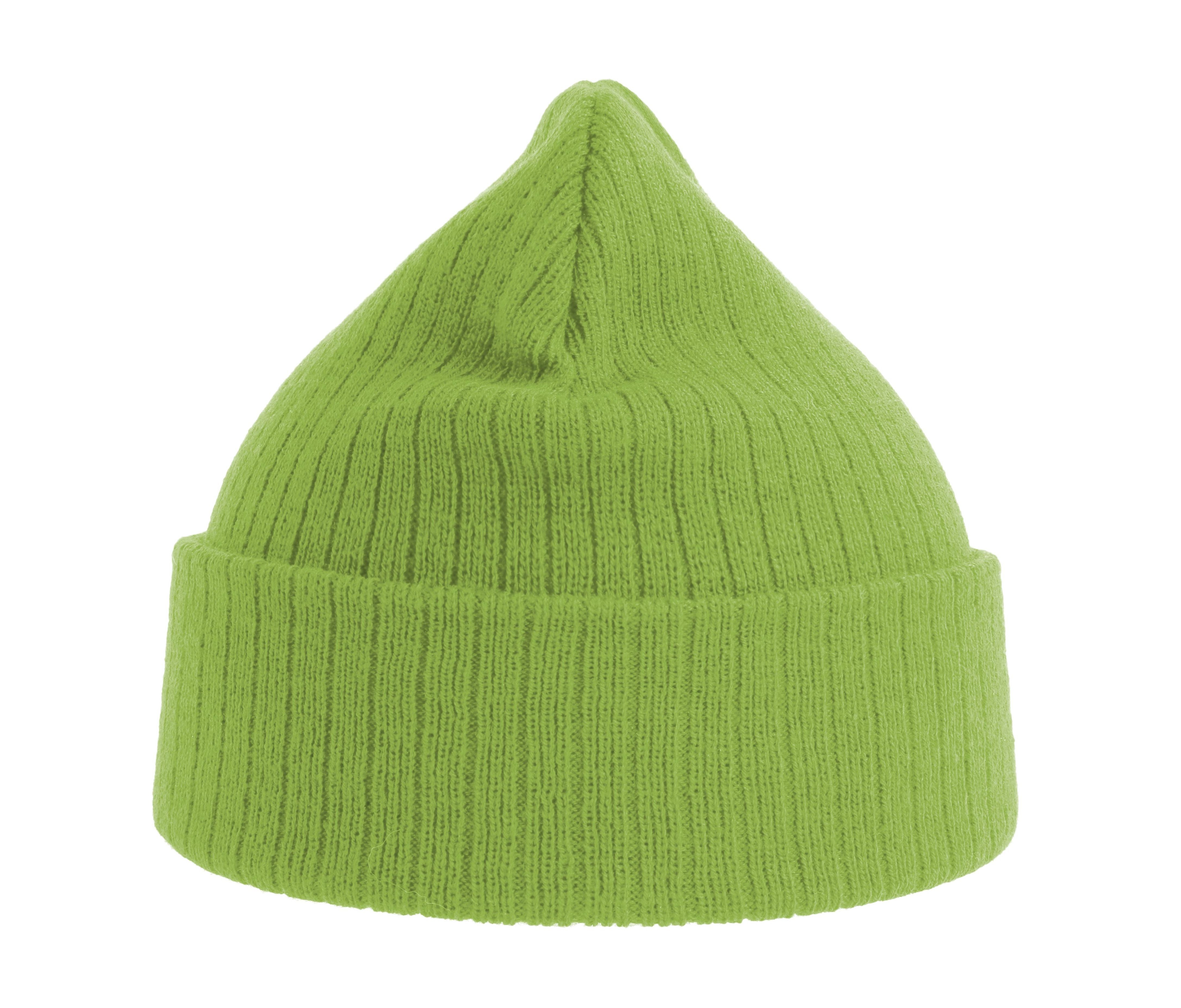 Gorro en poliester reciclado - Atlantis Headwear AT208