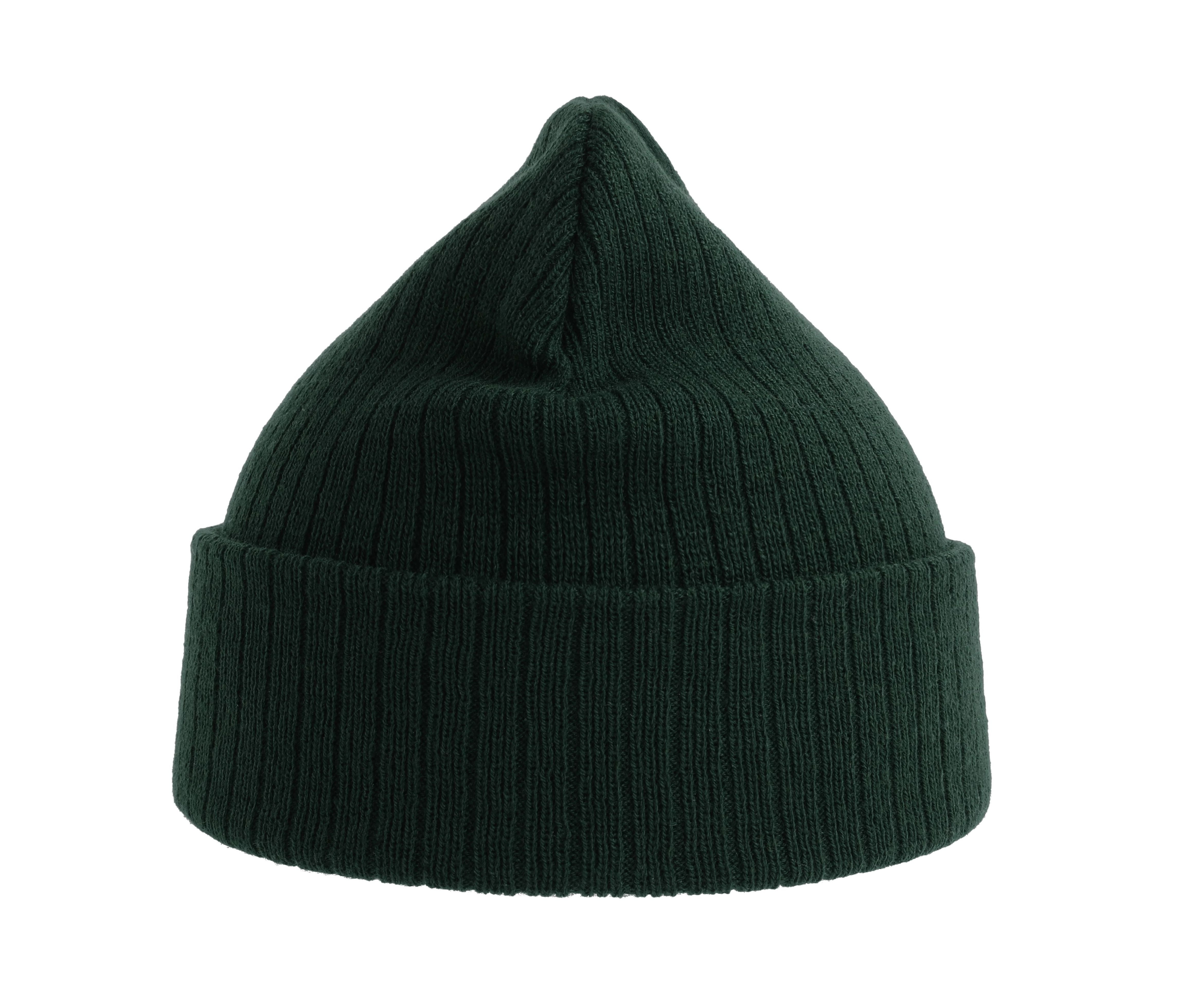 Gorro en poliester reciclado - Atlantis Headwear AT208