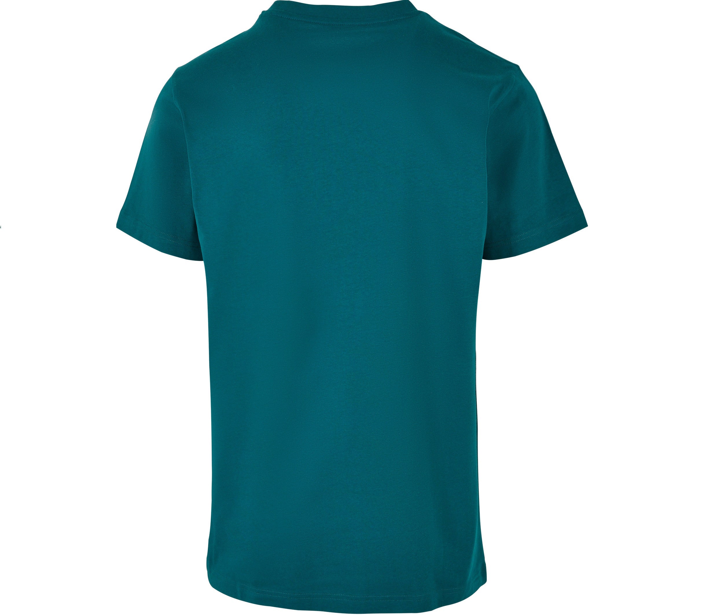Camiseta de Cuello Redondo - Build Your Brand BY004 - imagen 119