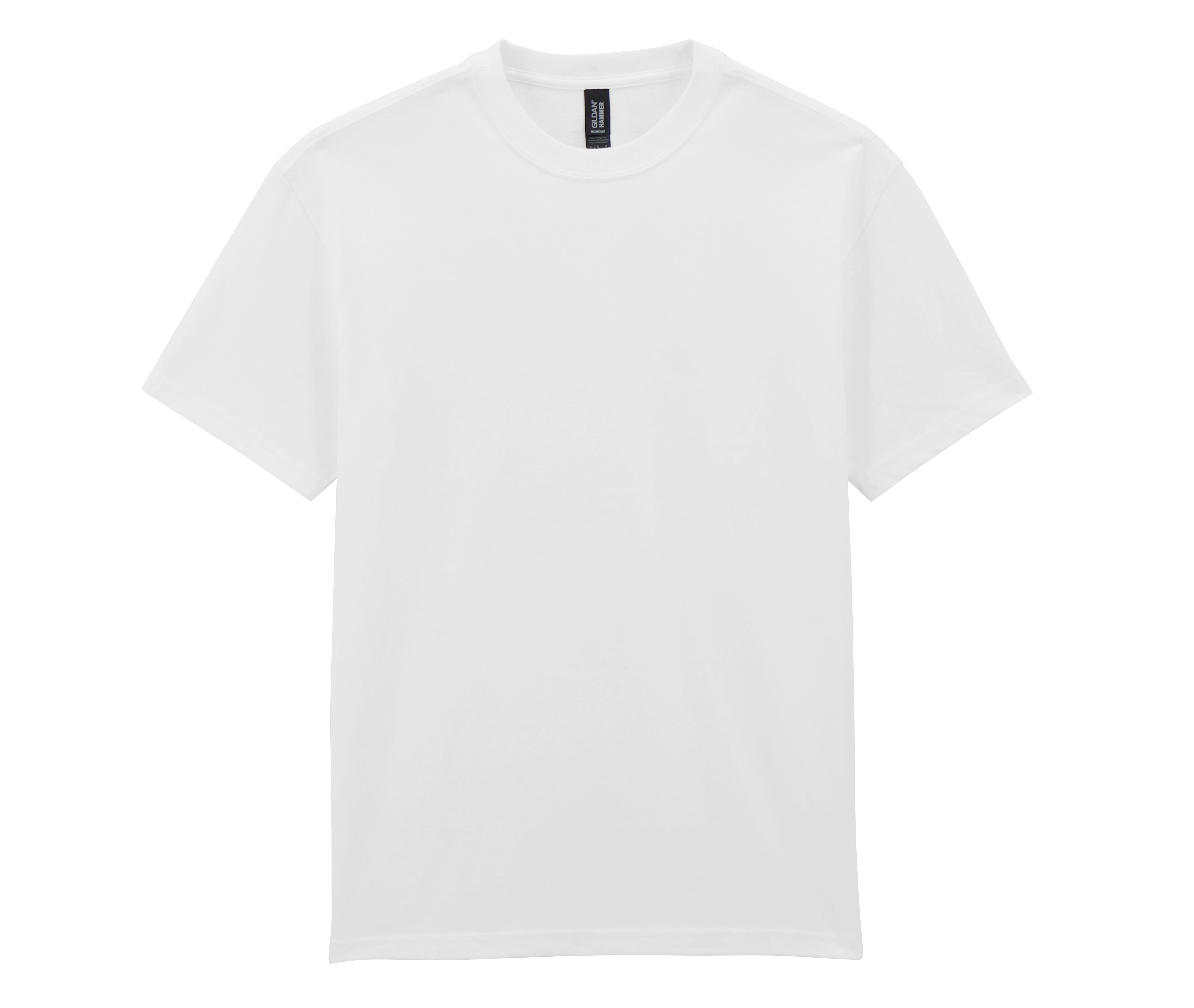 Camiseta Oversize - Gildan GN750