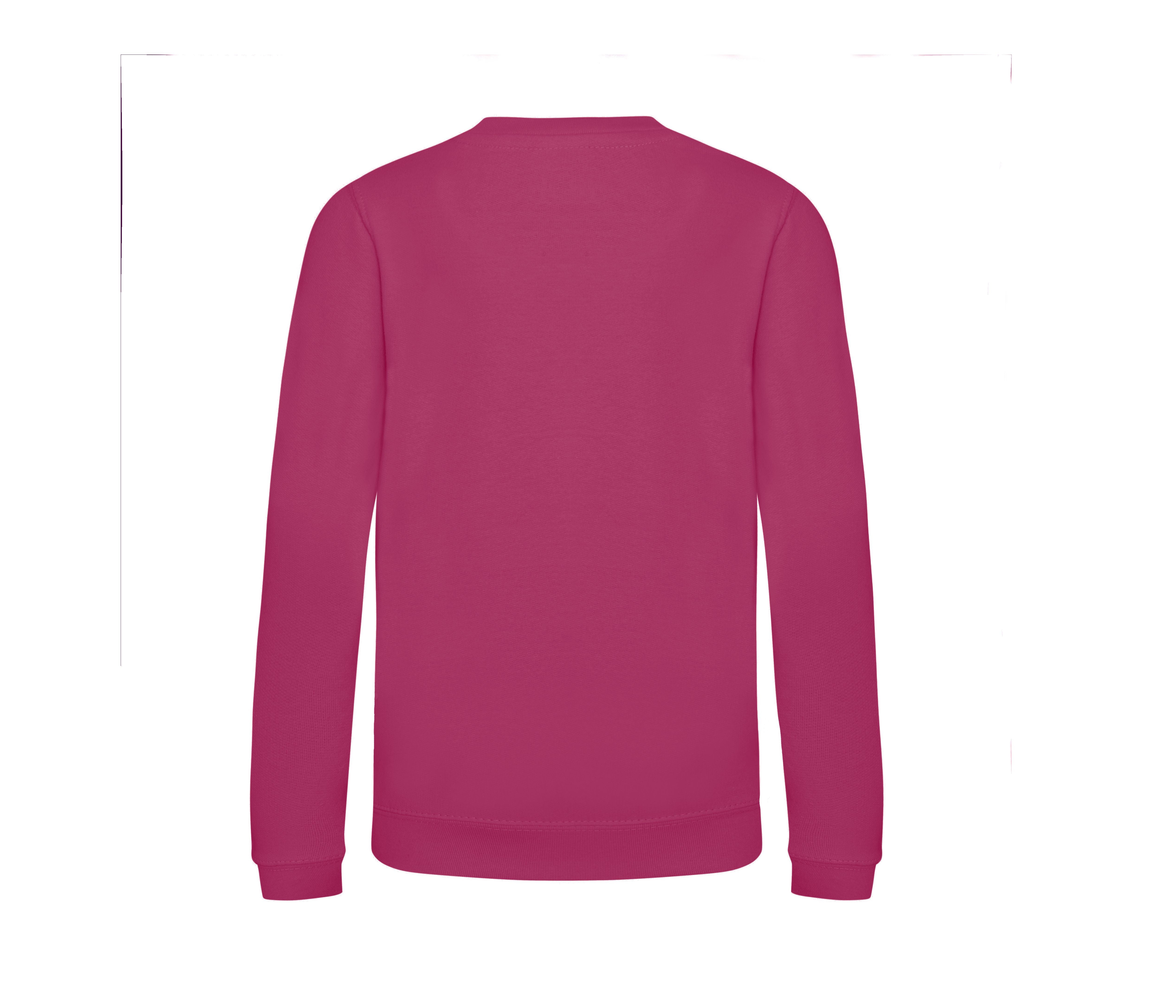 Sudadera Niños Awdis - Just Hoods JH030J - imagen 6