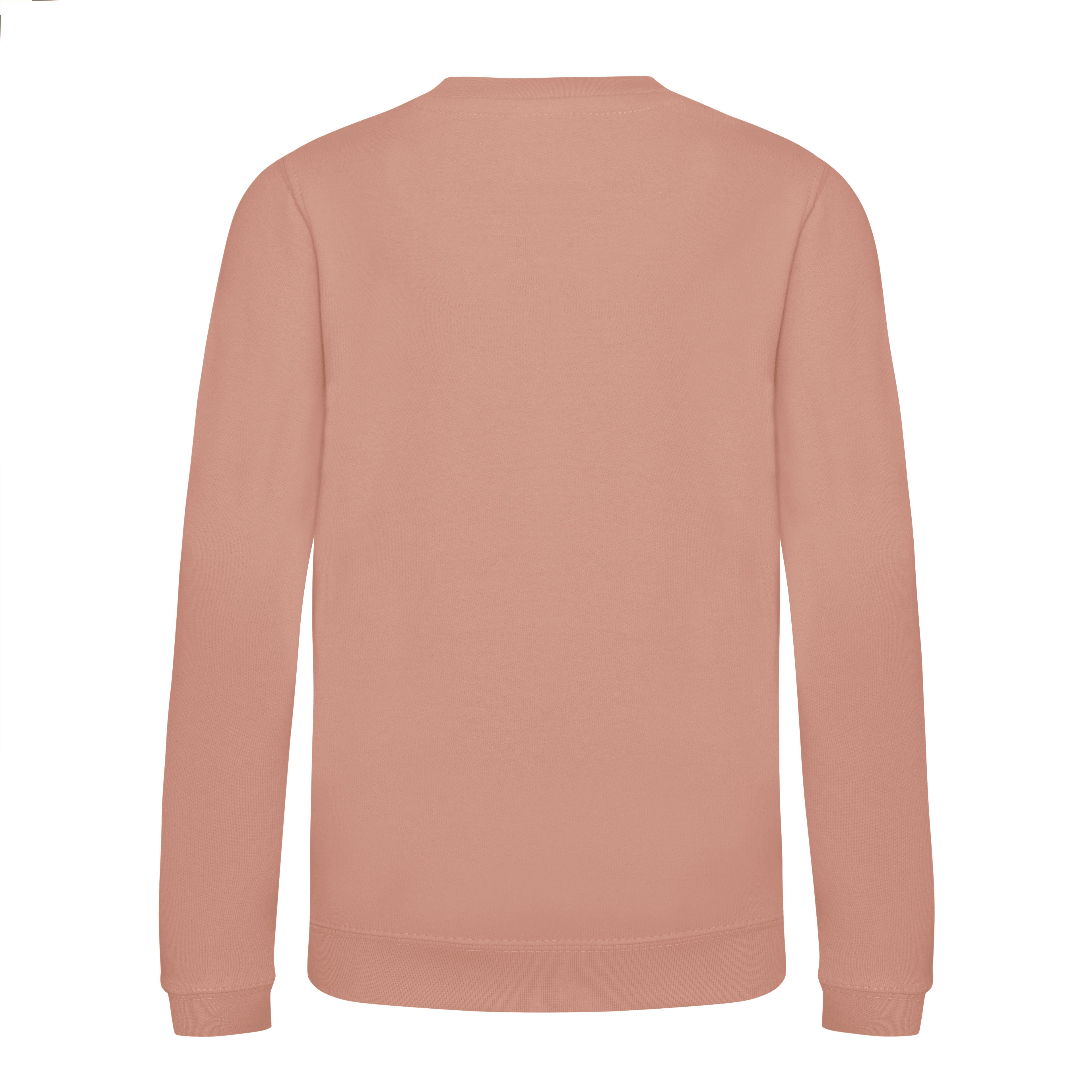 Sudadera Niños Awdis - Just Hoods JH030J - imagen 40