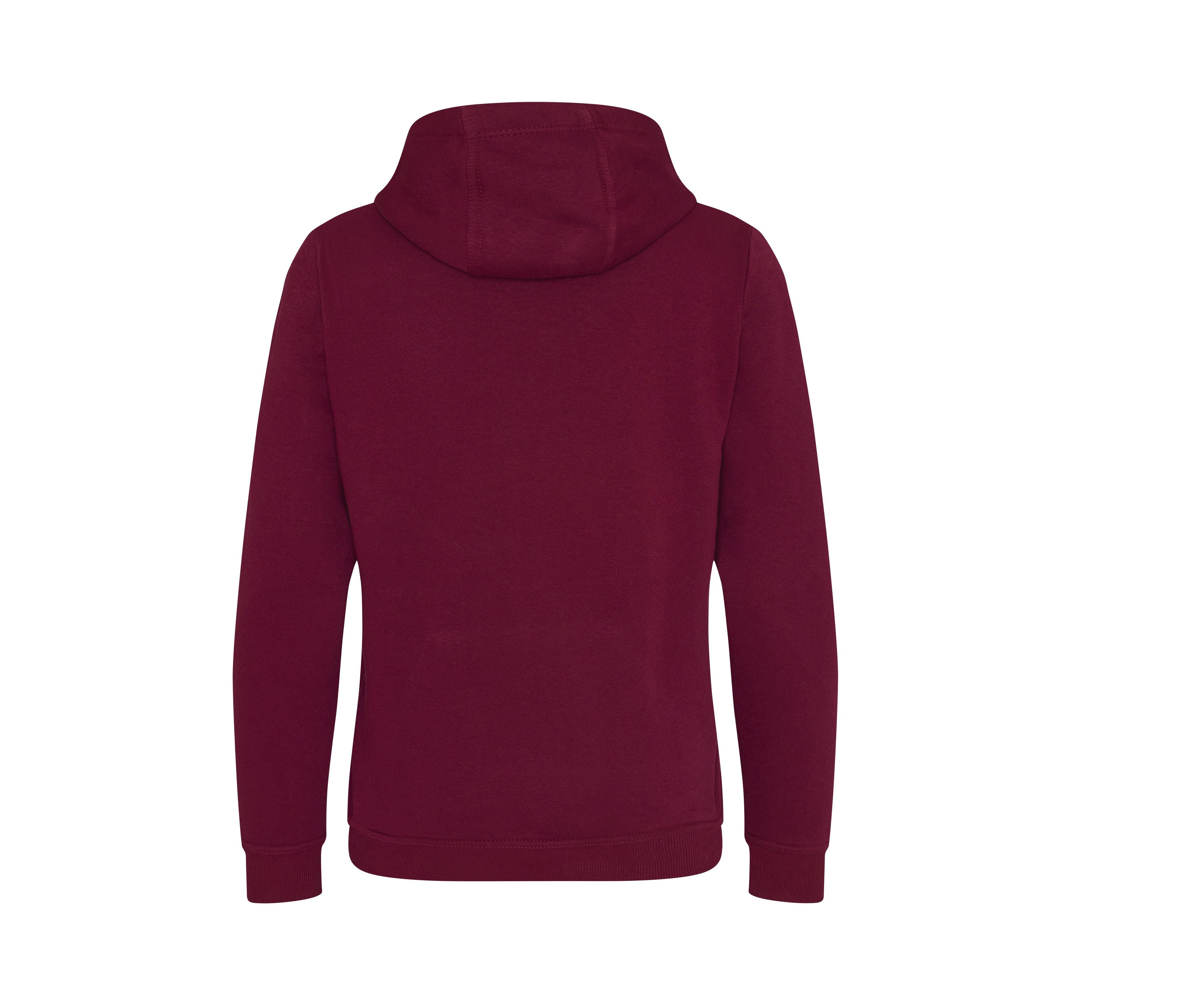 Sudadera Gruesa con Capucha Graduate - Just Hoods JH101 - imagen 12