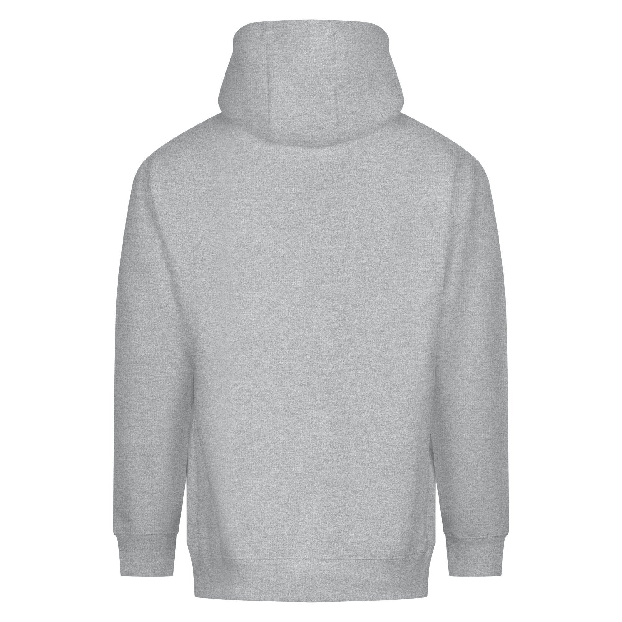 Sudadera Gruesa con Capucha - Just Hoods JH111 - imagen 23