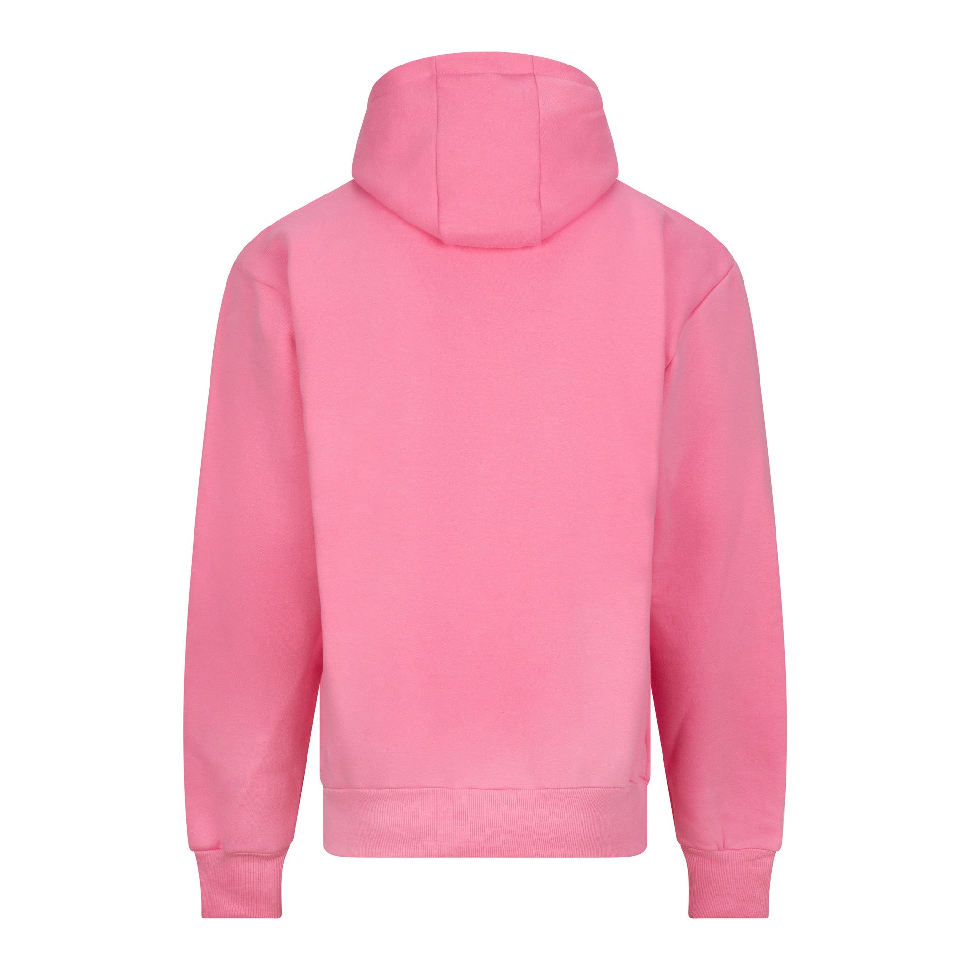Sudadera Gruesa con Capucha - Just Hoods JH120 - imagen 32