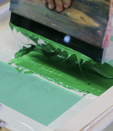 Professional Textile Screen Printing Kit